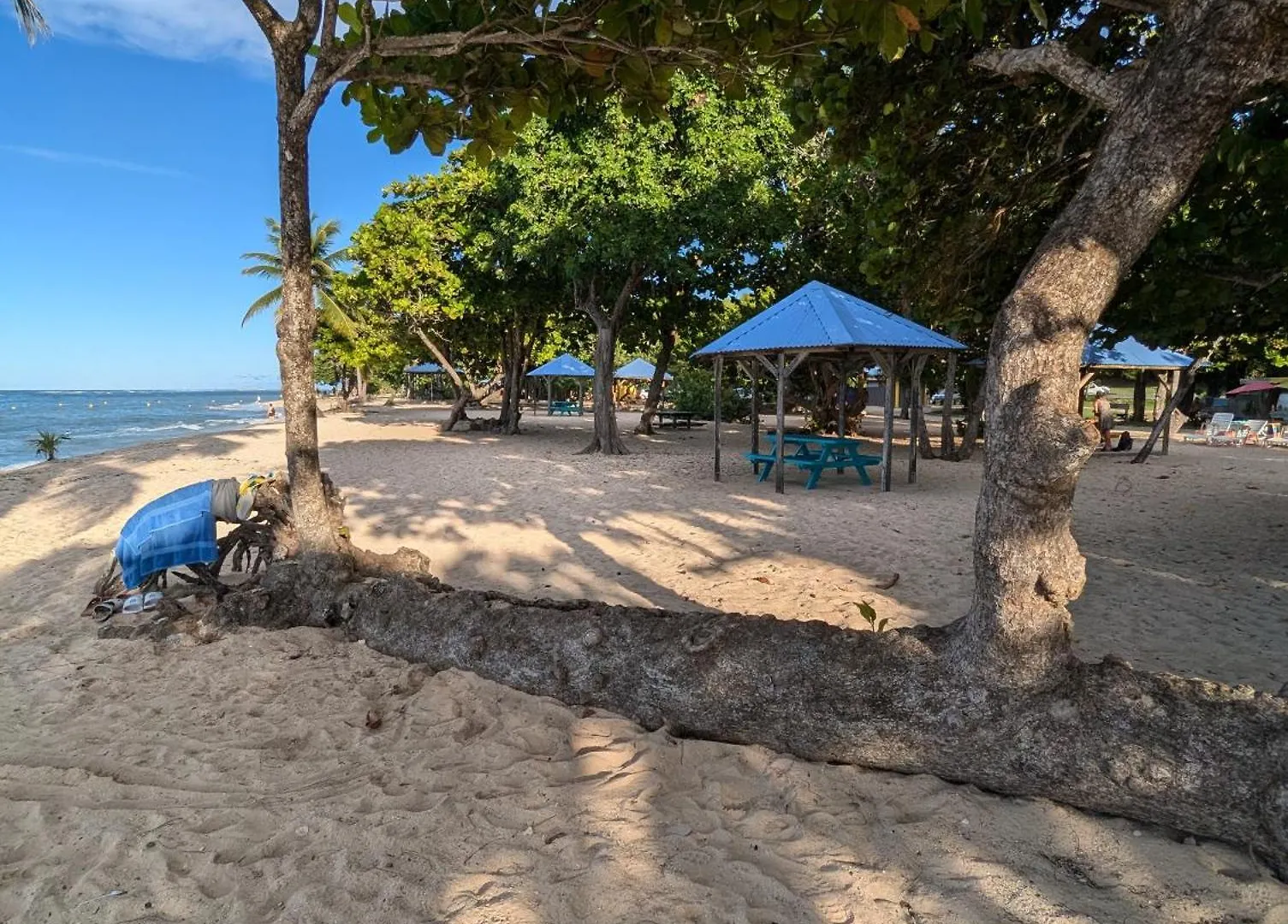 Tropik'O Bord Apartment Le Moule Guadeloupe