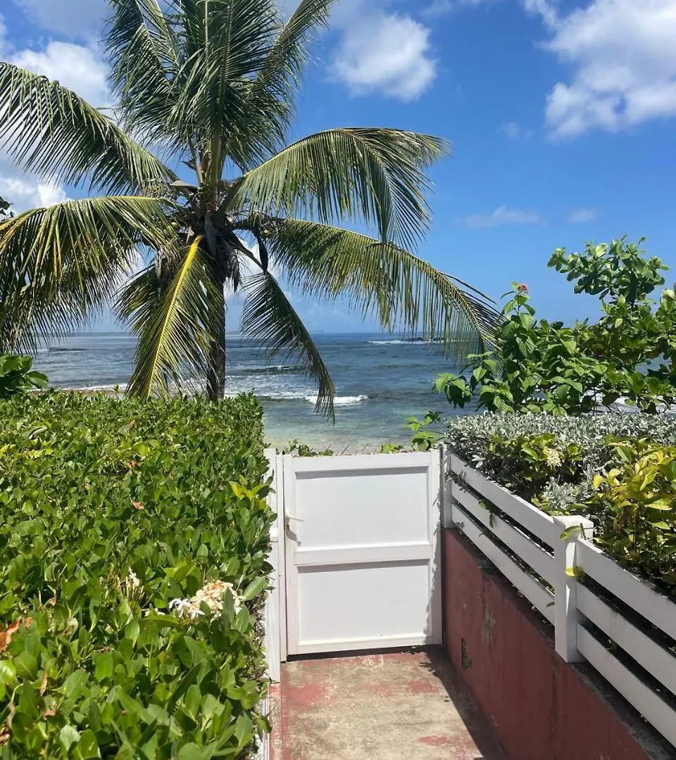 Tropik'O Bord Apartment Le Moule Guadeloupe